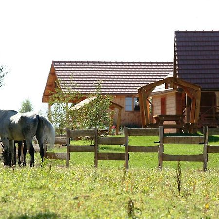 Le Hameau Des Grilles Villa Saint-Fargeau  Exteriör bild