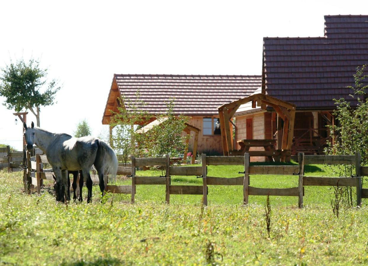 Le Hameau Des Grilles Villa Saint-Fargeau  Exteriör bild